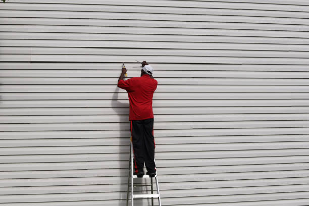Best Aluminum Siding Installation  in Walnut Grove, GA