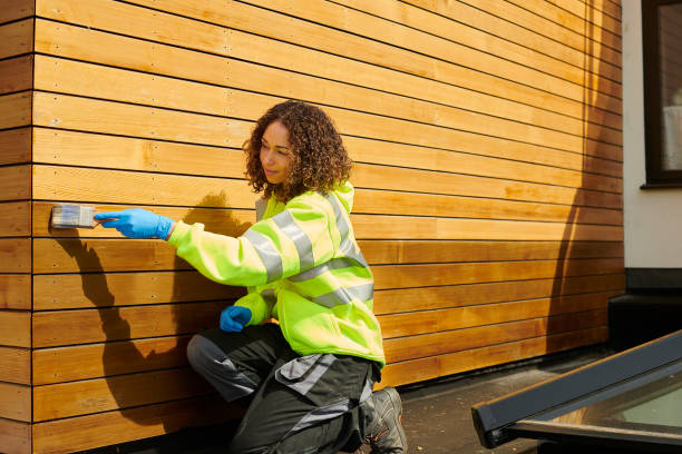 Affordable Siding Repair and Maintenance Services in Walnut Grove, GA
